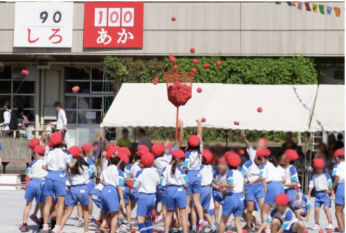 学校の校庭・体育館・プールに